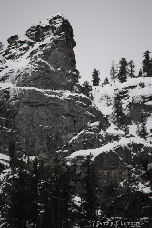 Winter Snow Caps - Yosemite, CA