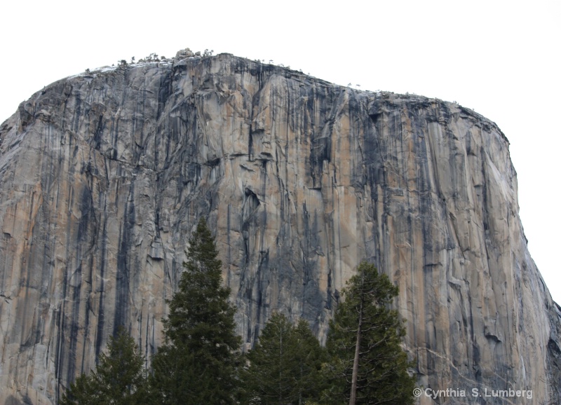 El Capitan - Yosemite, CA