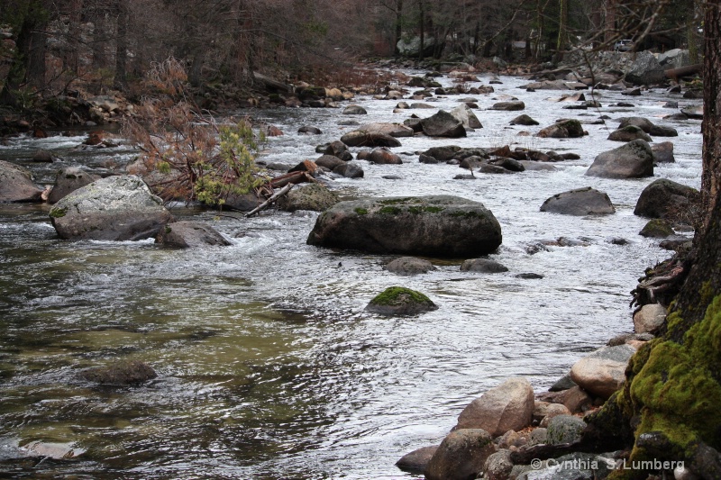 The Merced River - Yosemite, CA