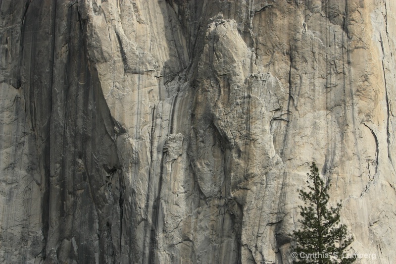 Ancient Walls - Yosemite, CA
