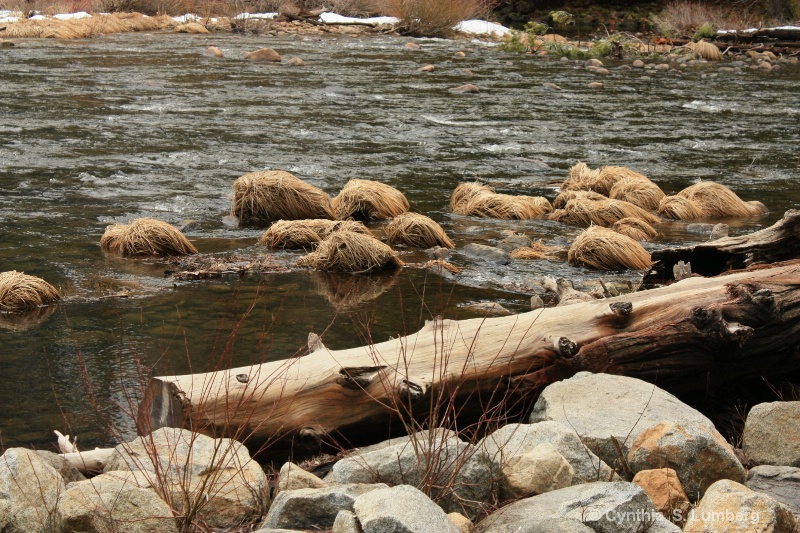 The Merced River, Yosemite, CA