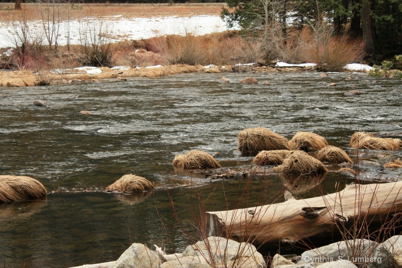 On the river banks. . .Yosemite, CA