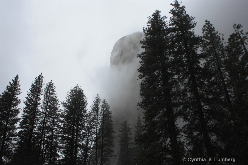 Ancient Voices - Yosemite, CA