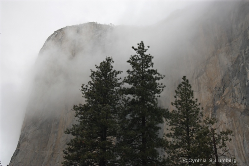 Ancient Ancestors - Yosemite, CA