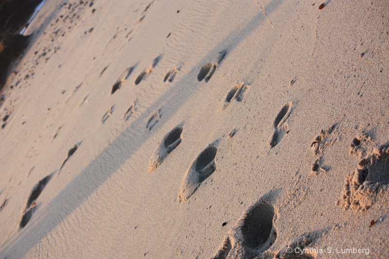 Footprints. . .