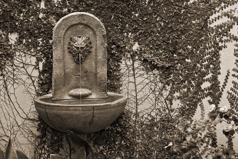 Fountain in the Garden