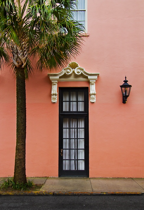 Palmetto & Pink