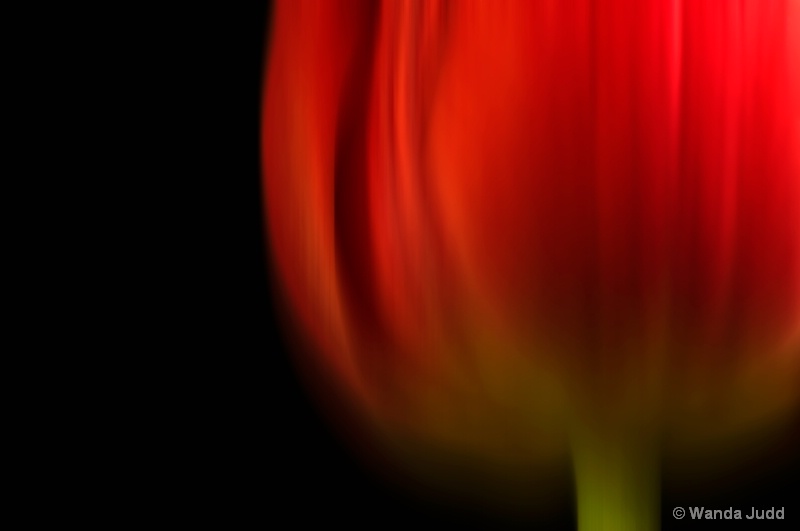 Abstract Liliaceae