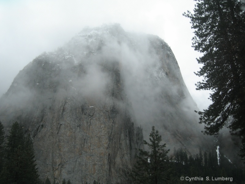 Winter Mist. . .Yosemite, CA