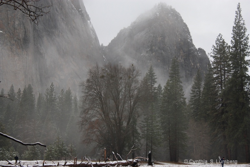 It's cold out here. . .Yosemite, CA