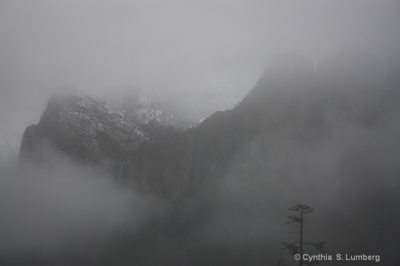 Winter Mist. . .Yosemite, CA