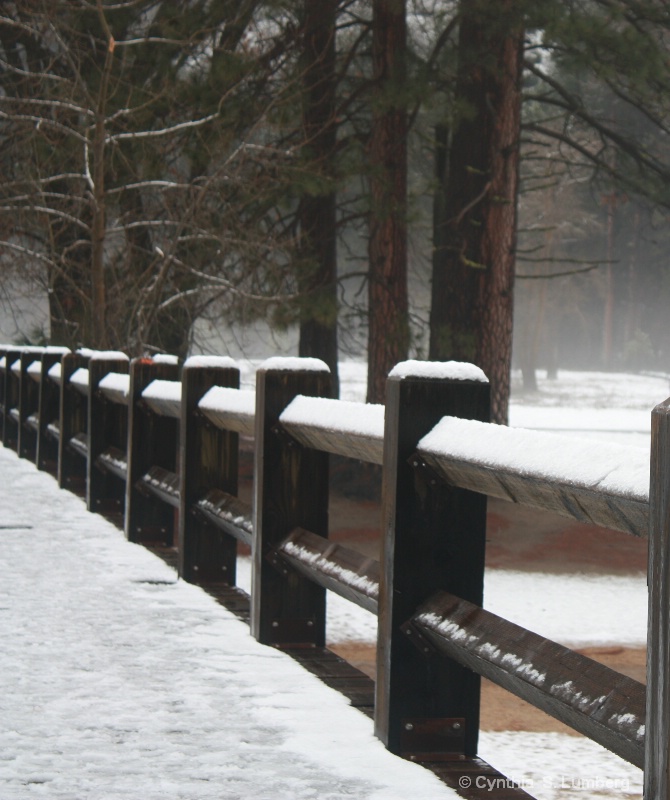 Snow Bridge. . .Yosemite, CA