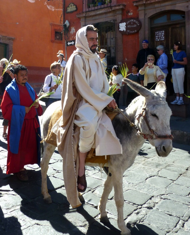 Palm Sunday procession