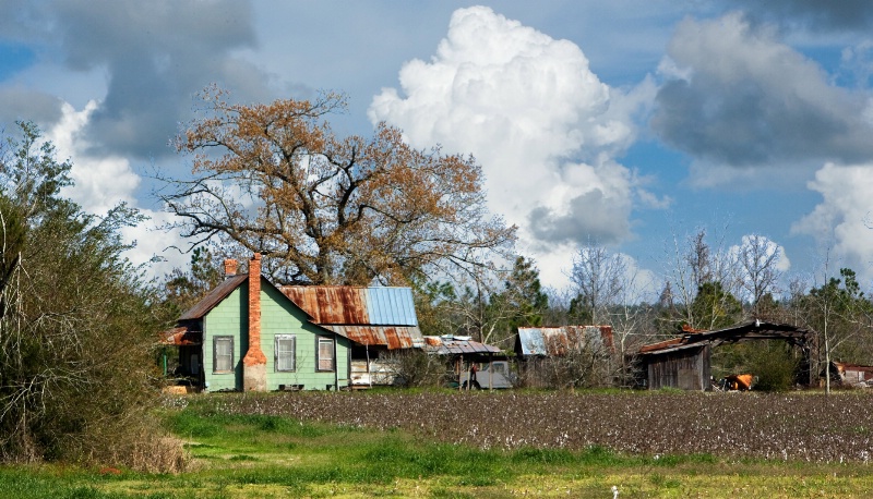 Rural Scene 