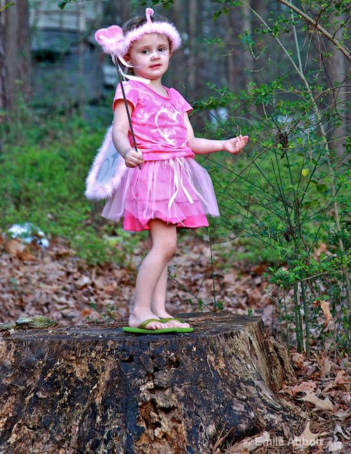 Fairy in the Woods