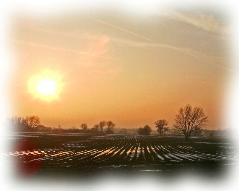 Reflection in the Furrows