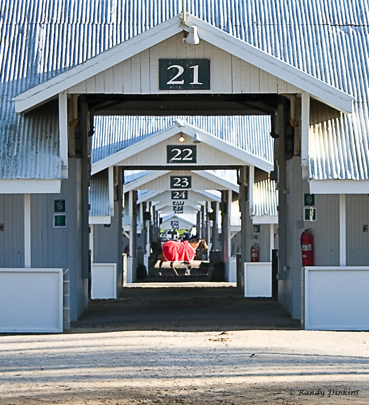 31