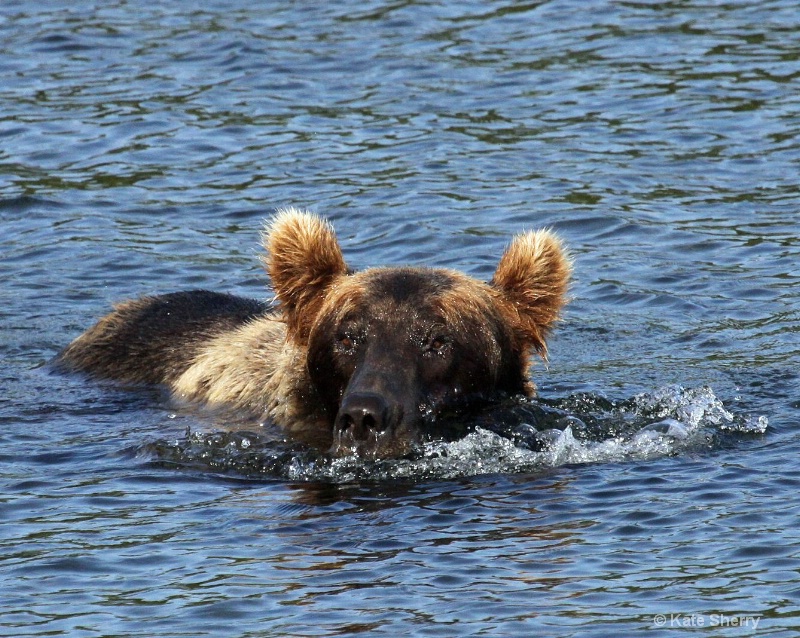 Looking for lunch