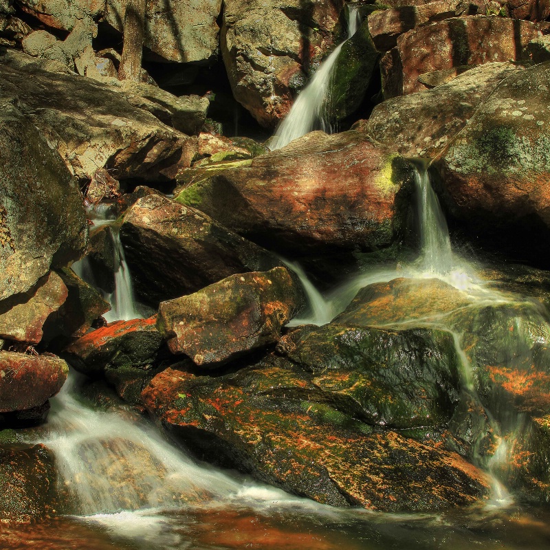 Pine Meadows Creek Falls