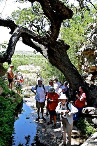 RAF group at the Grotto