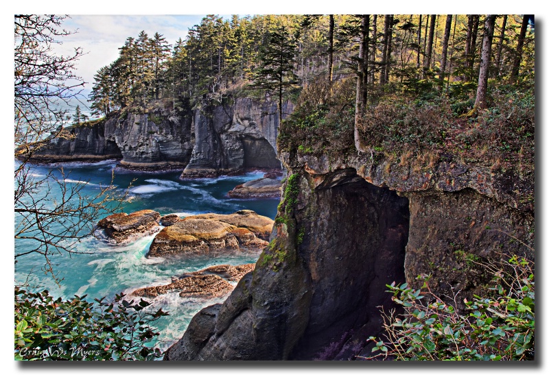 Cape Flattery Sea Caves