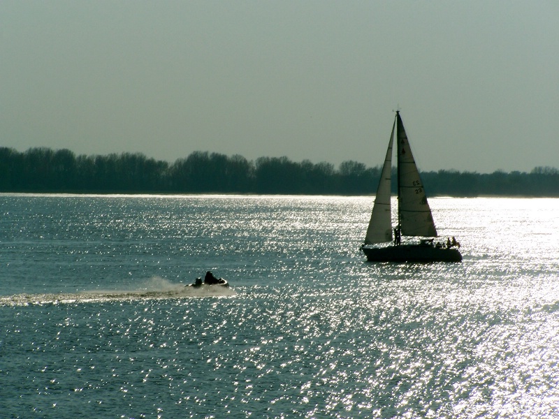 Boaters on the Elbe