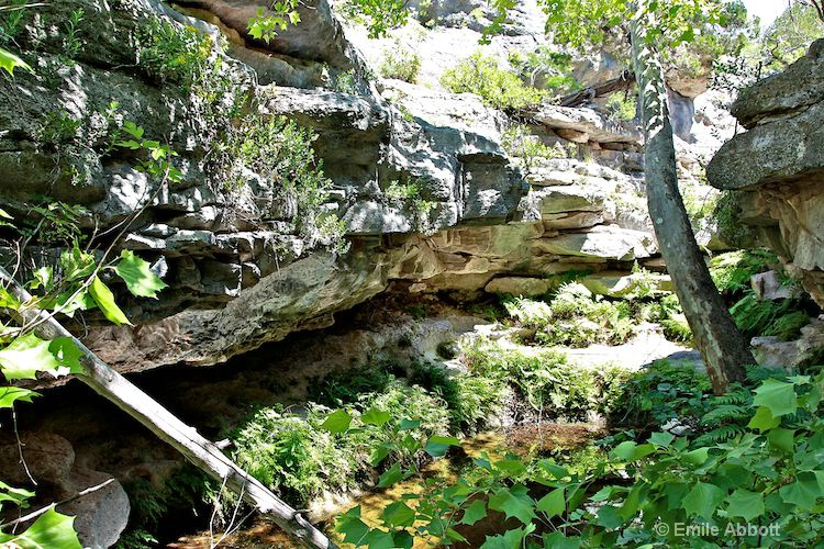 Pool of water at the Grotto