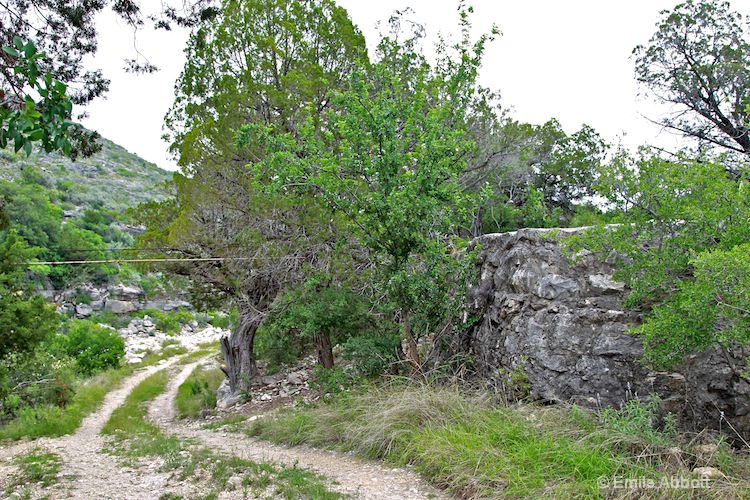 Tank and pipe from spring on Leon Springs Rd