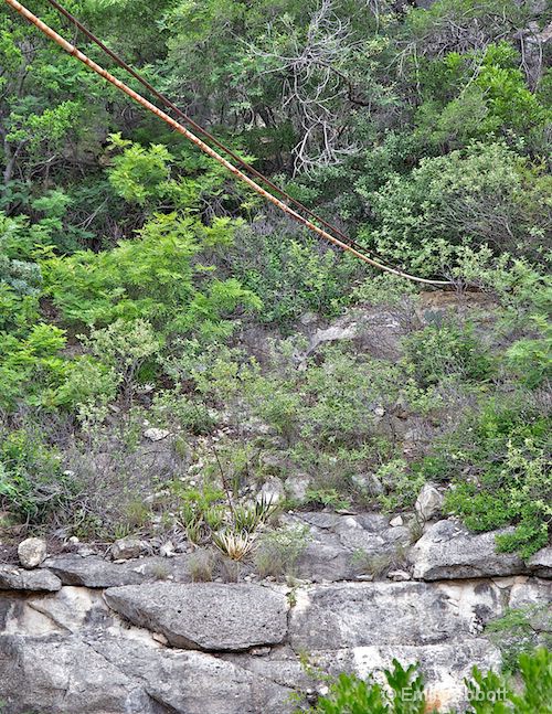 Pipe entering spring on cliff side