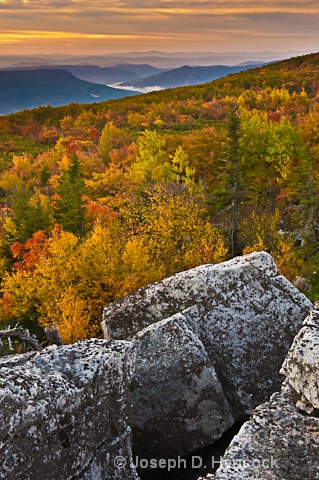 Dolly Sods Wilderness  d700 1370