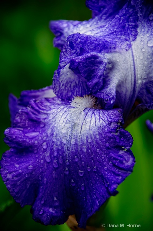 56