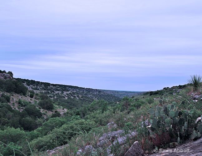 View from the Rock Art Shelter