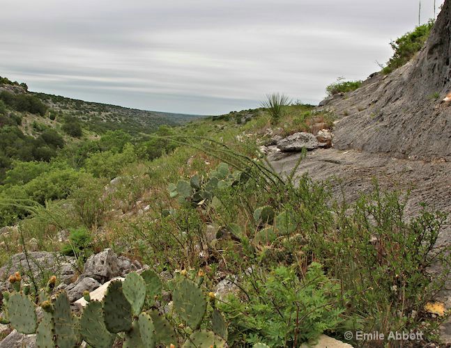 Views and vista from the Rock Art Shelter