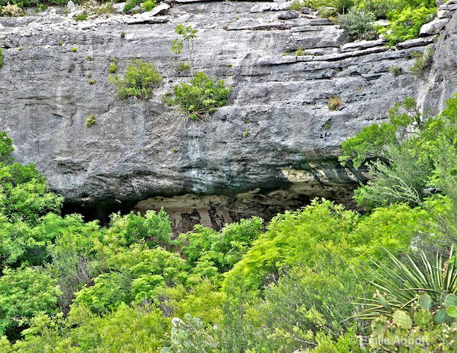 41VV889 Rock Art Shelter  with panther bed