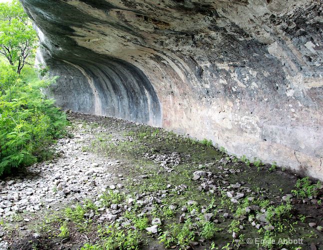 41VV889 Shelter at Devils River SNA