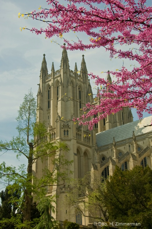 Spring color at the Cathedral