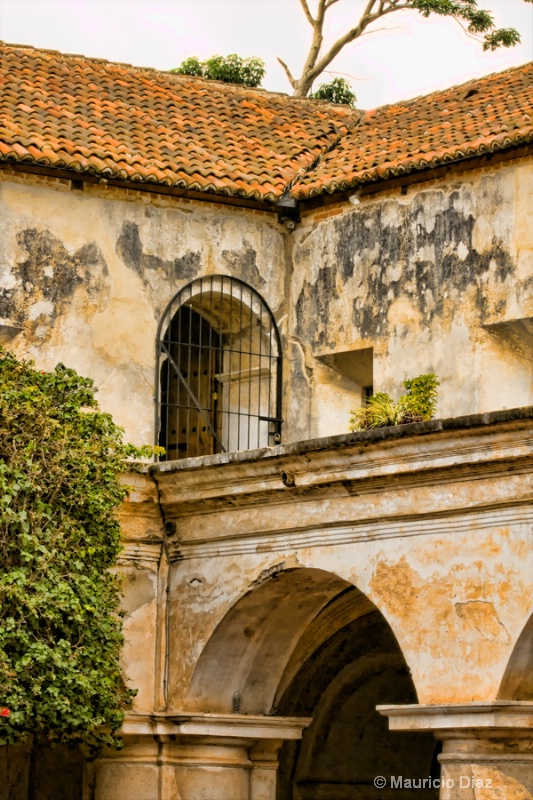 Capuchinas Corner