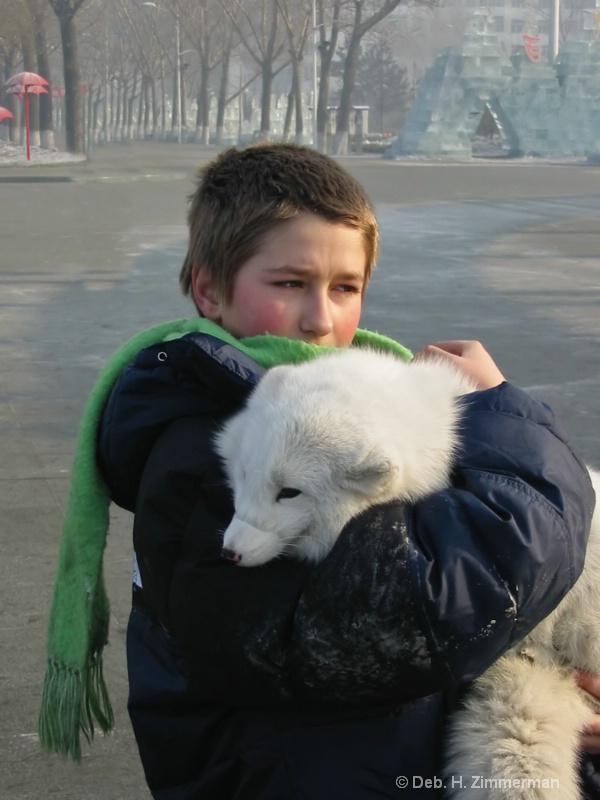 Caring for the arctic fox