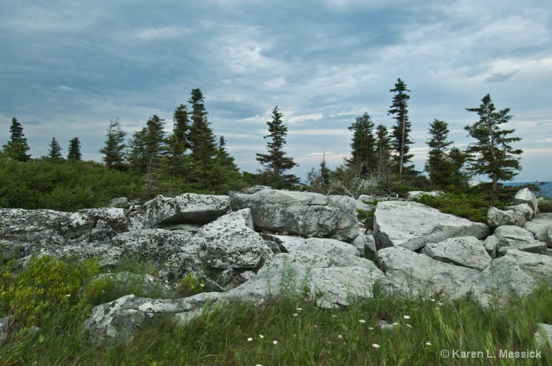 Bear Rocks Storm