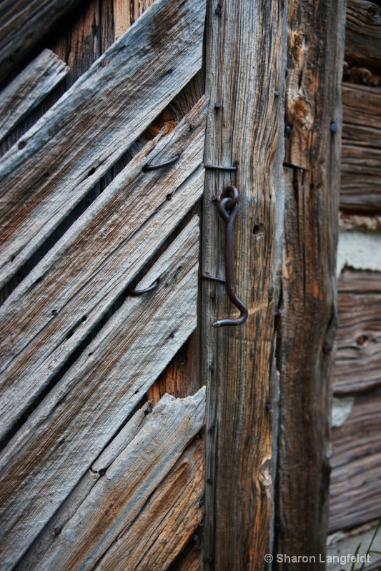 Latch on the Old Shed