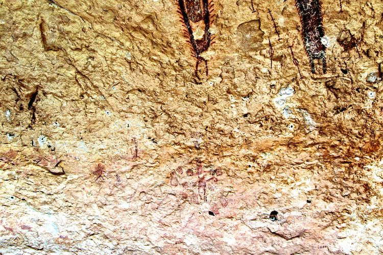 Detail below Bristle Anthropomorp & longer shaman