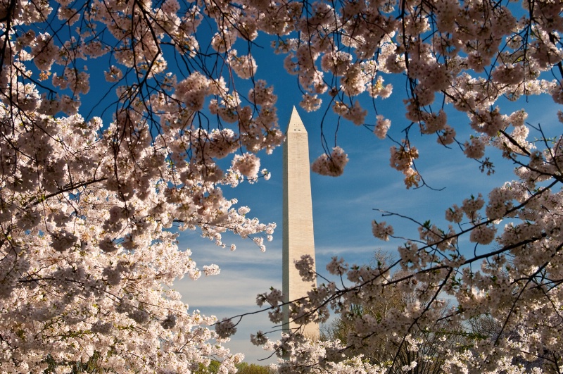 Washington Monument