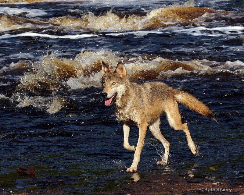 River Crossing