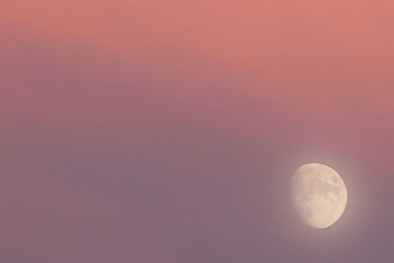 Sunset Moon