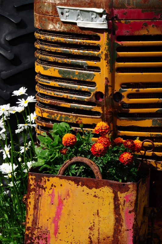 Tractor Flowers