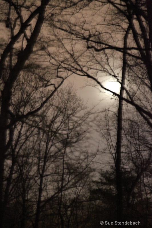 Eerie Night, Arlington, VA