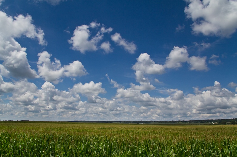 Corn Country