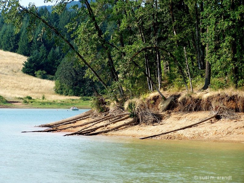 Beach at Henry Hagg Lake