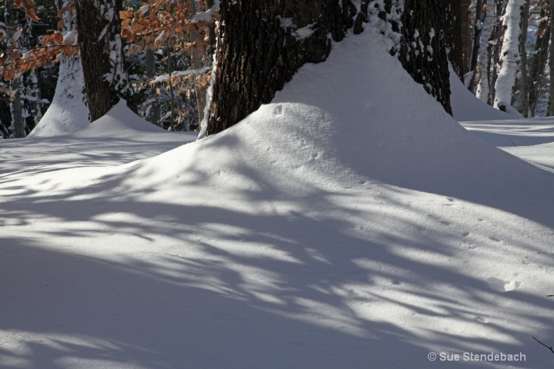 Snow with Shadows