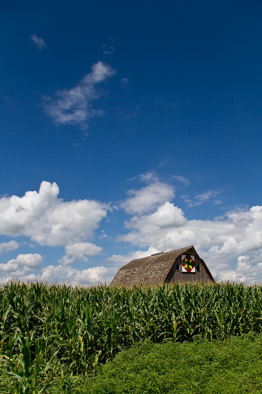 In the Corn